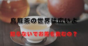 烏龍茶の世界は広いよ