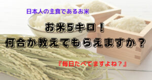 お米5キロ!何合かおしえてもらえますか?