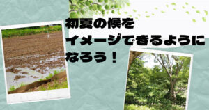初夏の候を大特集！詳しい意味から時期まで全部しっちゃおう