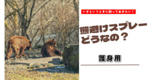 熊避けスプレーで助かった人はいない⁈情報から意外な答えにたどり着いた