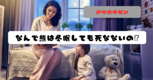 熊は冬眠でなぜ死なない!?理由から仕組みまで徹底解説します