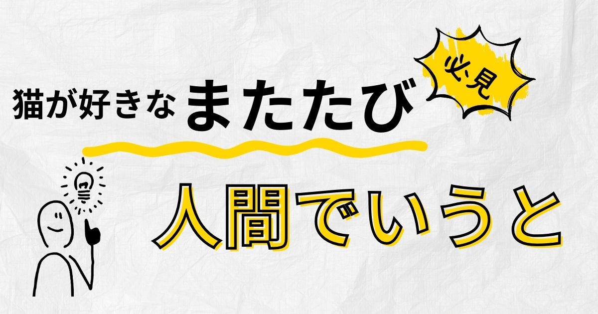 猫の大好物「またたび」人間でいうと何にあたる⁉驚きの正体とは